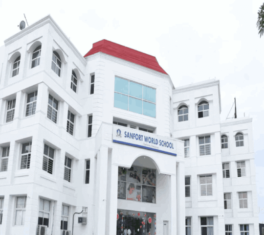 Sanfort World School