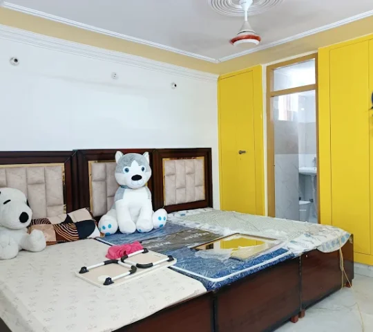 Girls PG Greater Noida