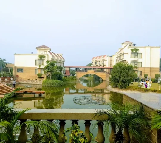 The Stellar Gymkhana