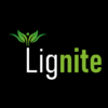 Lignite