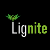 Lignite